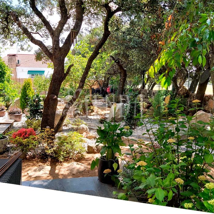 proyecto-jardineria-chalet-despues.jpg