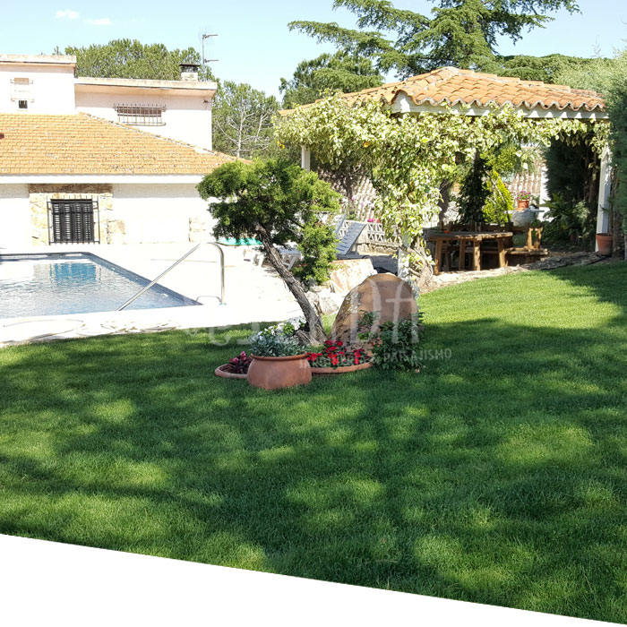 Jardineria Jardineria