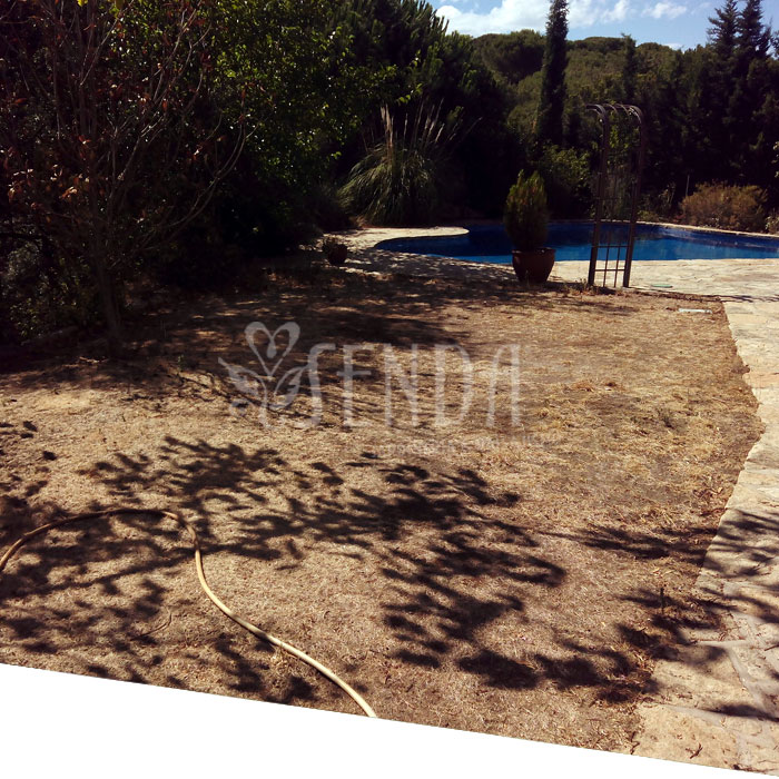 Jardineria 
