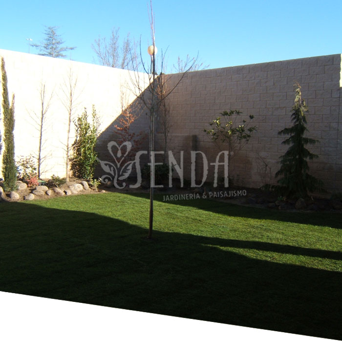 120126-paisajismo-despues.jpg