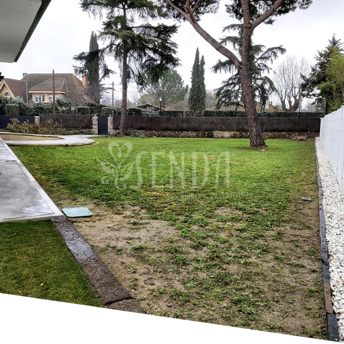 Jardineria Jardineria