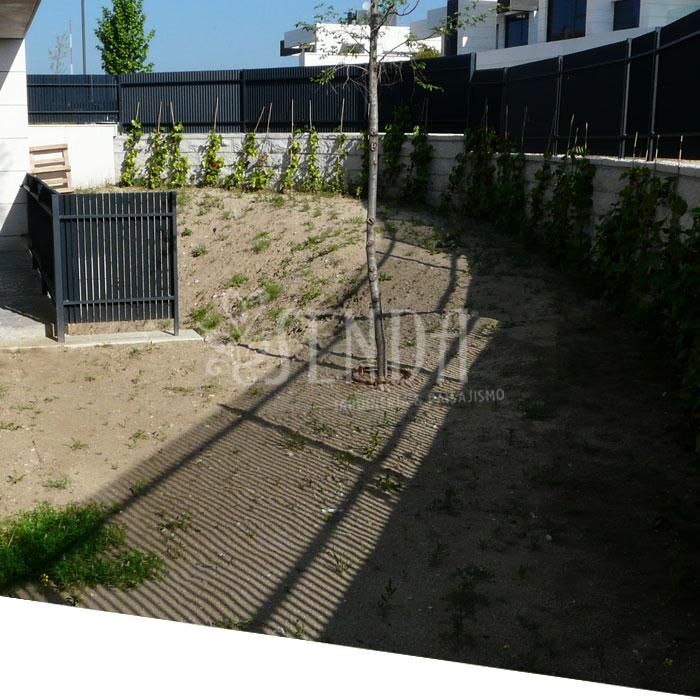 Paisajismo antes