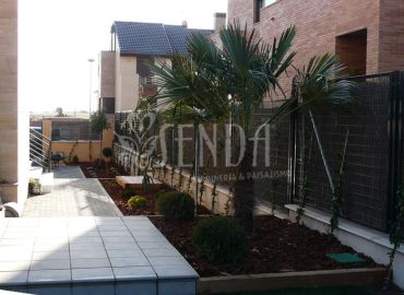 Jardín contemporáneo con especies ornamentales y recorrido estructurado