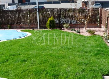 Jardín residencial con piscina, pradera natural y borduras ornamentales
